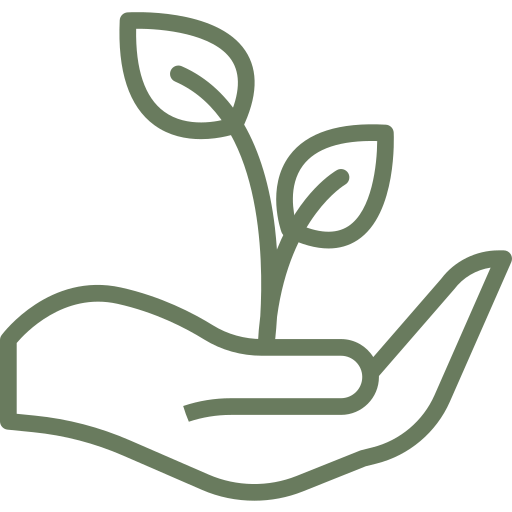Conscious Mind Coaching Values: Learning
